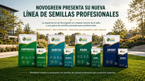 lanzamiento semillas novogreen_césped.jpg